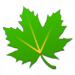 Greenify Pro Apk XDA