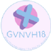 Download GVNVH18 Tool APK 1.0 for Android