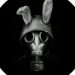 Rabbit Web APK