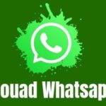 Fouad Whatsapp v9.45 Apk Download