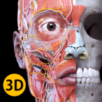 Anatomy 3D Atlas MOD APK